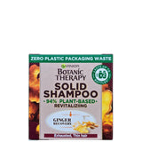 Garnier/Botanic Therapy "Festes Shampoo" Ingwer-Mandelöl 60g